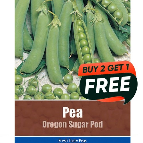 Vegetable seeds pea oregon - seeds,