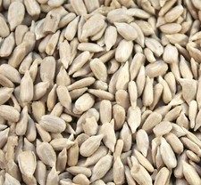 Sunflower hearts for - sunflower,