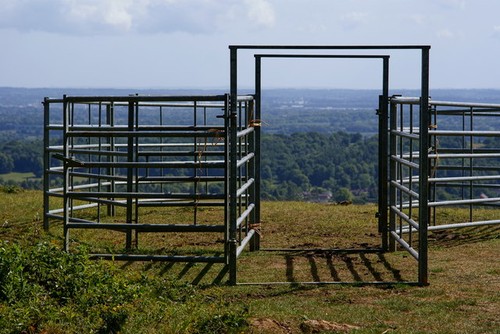 Photo cattle pen - photo,
