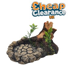 Realistic Water Dish Vivarium