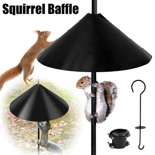 Large around wrap - around-wrap, squirrel