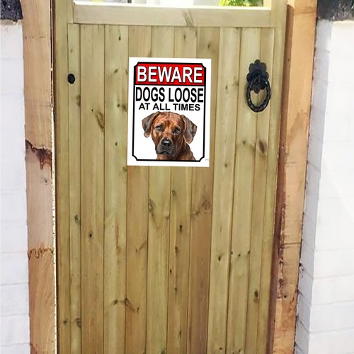 Beware dogs loose rhodesian - dogs,