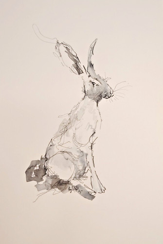 Original hare size - original, scribble