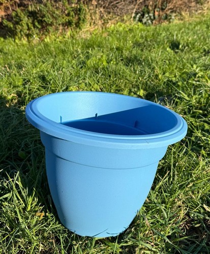 Bright round plant - plant, pots