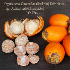 Organic Areca Nut (Betel Nut)-100% Natural,High Quality, Fresh 10 Pcs.