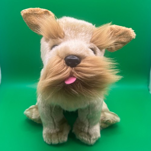 2003 beanie buddies - 2003, ty