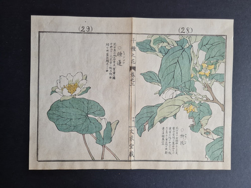 Antique 1890 japanese - antique,