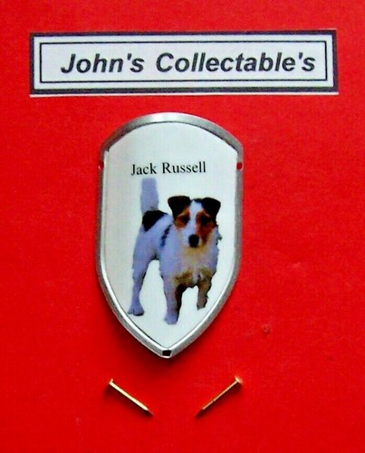 Jack russell walking - russell,