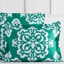 Pottery Barn Ikat Medallion