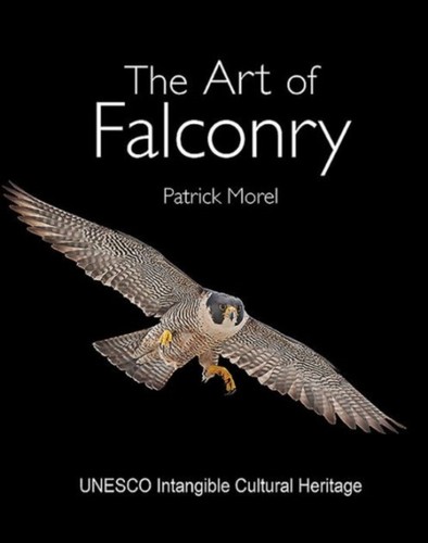 The art falconry patrick - the,