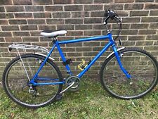 Blue Raleighs bike City style