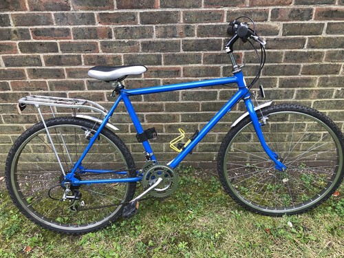 Blue raleighs bike - raleighs, city