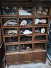 Stunning Minty Sectional