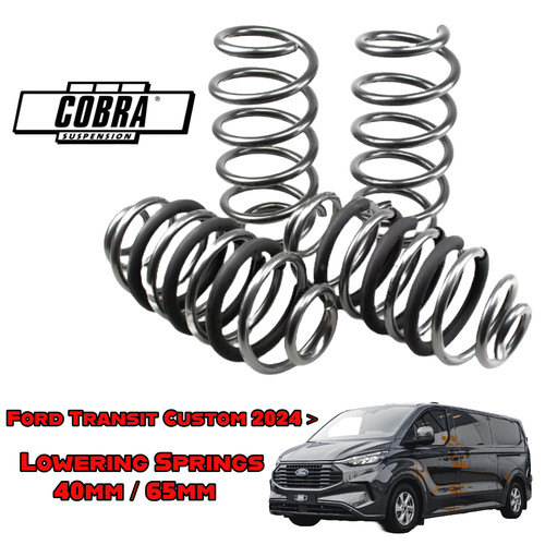 Lowering springs for ford - springs,