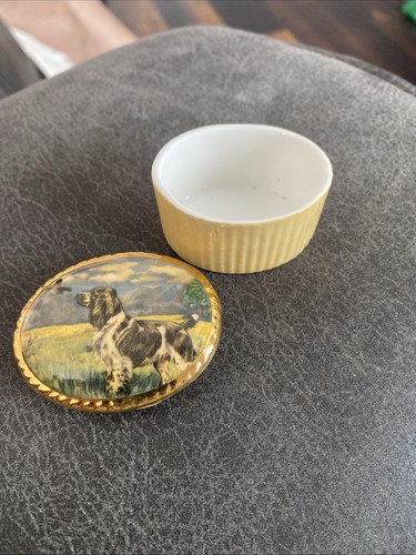 Aynsley fine bone china pill - fine,