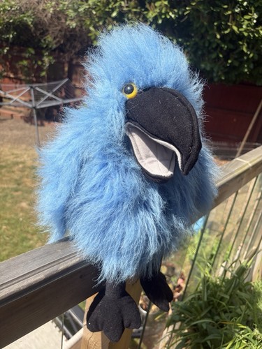 The puppet company blue - company, parrot