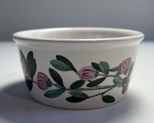 Portmeirion botanic garden - botanic,