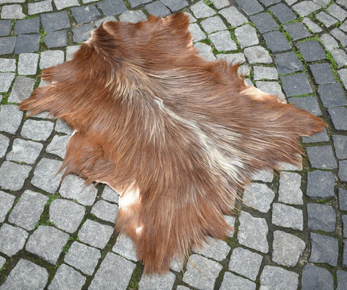 Angora goat leather - angora,