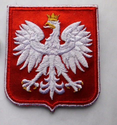 Beautiful polish army patch - army,