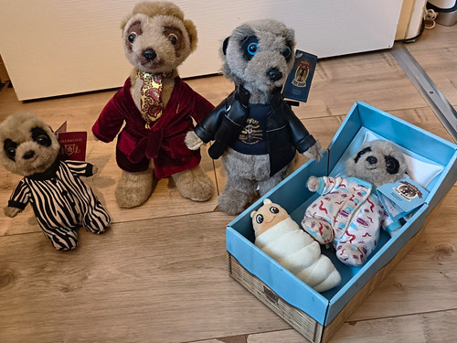 Compare the meerkat collection - compare,