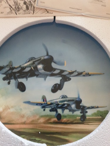Plane plate typhoon - plate.,