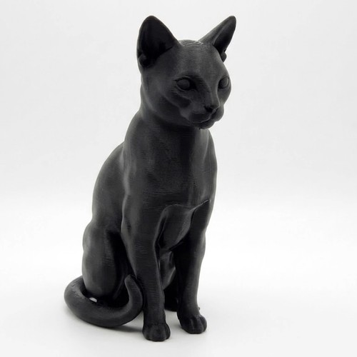 Russian blue cat - russian,