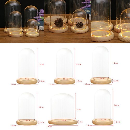 Glass display dome wooden base