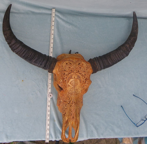Large antique water buffalo - antique,