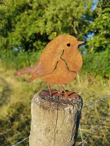 Rusty metal robin steel - metal,