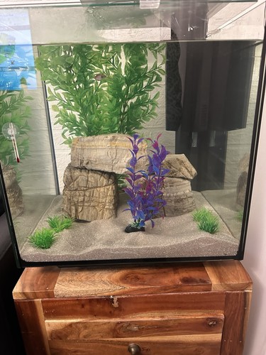 80l fish tank - 80l,