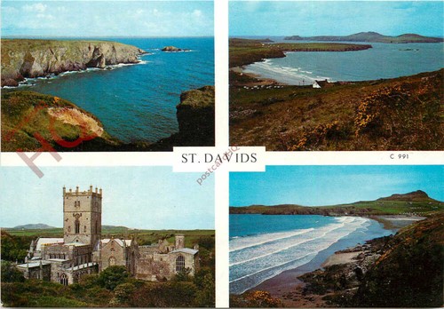 Picture postcard davids - picture,
