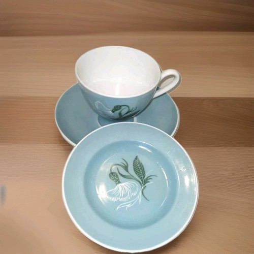 Susie cooper bone china - cooper,