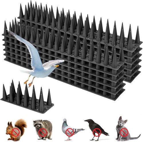 20m bird spike for pigeon - 20m,