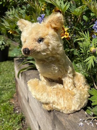 Antique farnell fox - fox, 🦊
