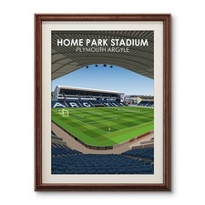Plymouth Argyle Poster, Home
