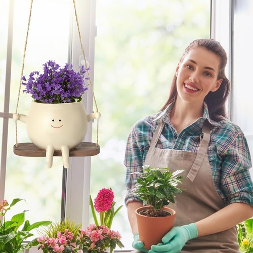 Swing face flower plant - flower,