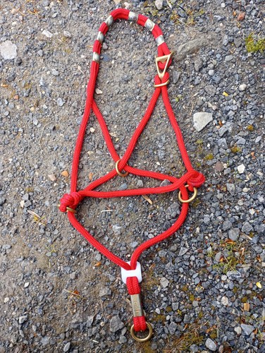 Monty roberts nice halter - be,