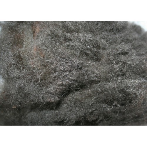 Alpaca fleece for spinning - alpaca,