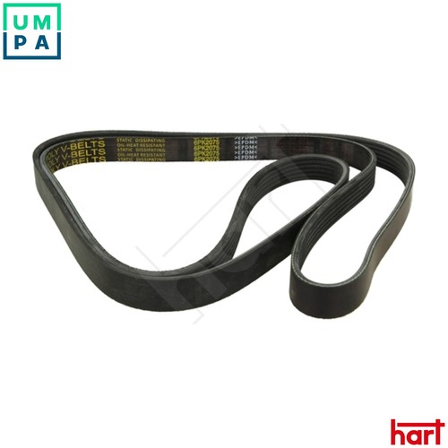 Vribbed belt 338 - belt, vw