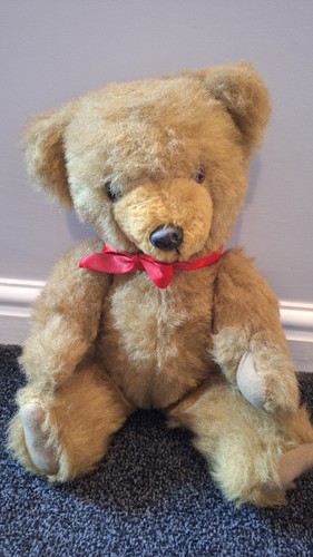 Vintage 1950s pedigree teddy - vintage,
