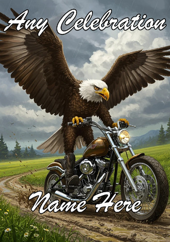 Nai416 bald eagle - nai416,