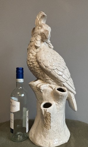 Large cockatoo parrot - cockatoo, vase