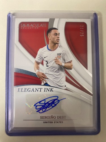 Sergio dest auto 25 - dest,