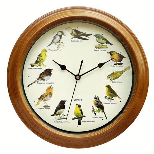 Room decoration musical - room, birds