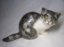 Winstanley Grey Tabby Cat