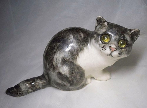 Winstanley grey tabby cat - winstanley,