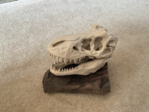 Jurassic park rex - jurassic, t-rex