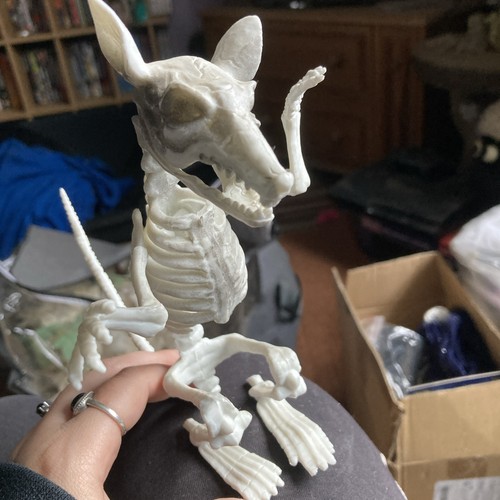 Small plastic skeleton rat - skeleton,