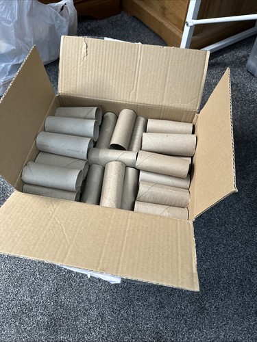 Empty cardboard toilet roll - empty,
