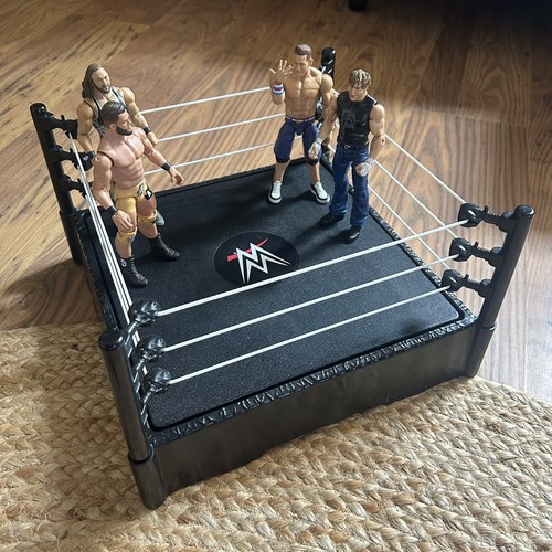 Wwe wrestlers austin - wrestlers, theory